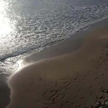 Casa Sveva, A Pochi Passi Dalle Spiagge E Dal Centro Di Arma Di Taggia. *