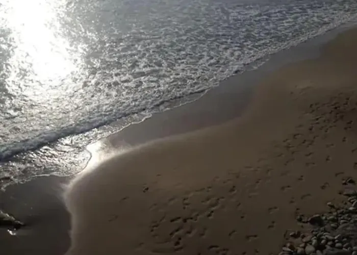 Casa Sveva, A Pochi Passi Dalle Spiagge E Dal Centro Di Arma Di Taggia. *